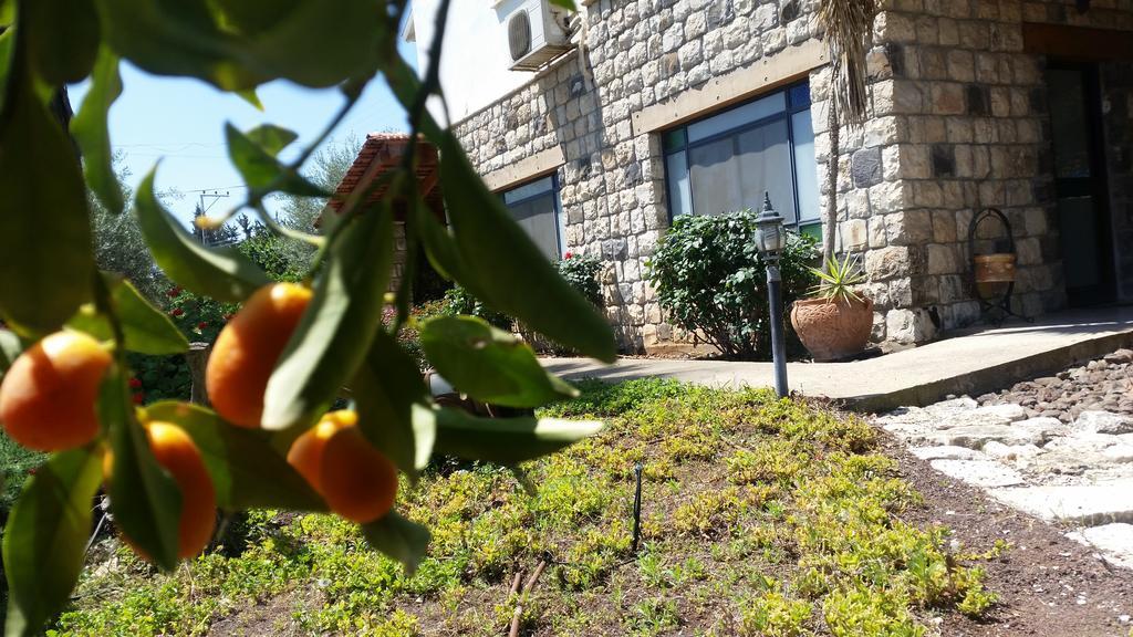 Shwartzimmer Rosh Pinna Exterior photo