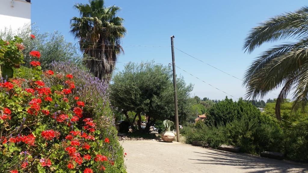 Shwartzimmer Rosh Pinna Exterior photo